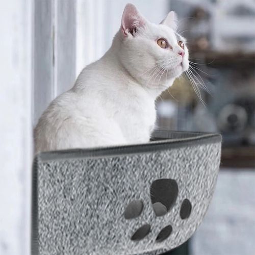 hamac chat fenetre gris - Happy minet