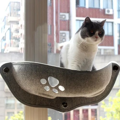 hamac chat fenetre gris - Happy minet