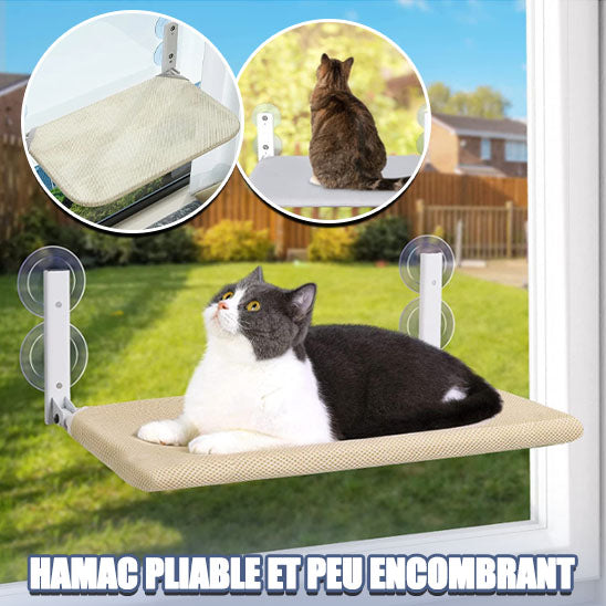 hamac-chat-pliable