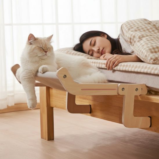 hamac-chat-sommeil-apaisé