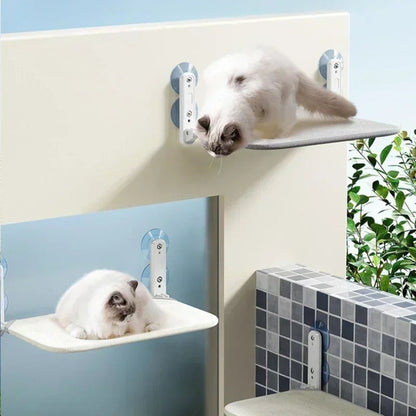 hamac-chat-surface-plate
