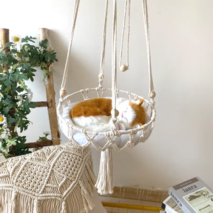 hamac-chat-suspendu