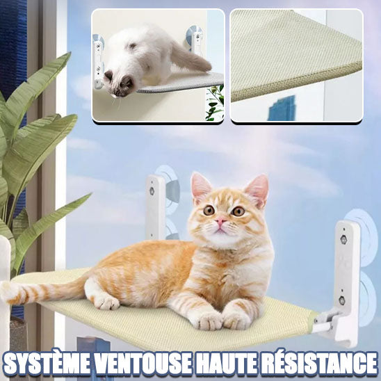 hamac-chat-ventouse