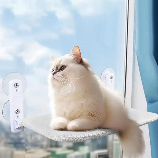 hamac-chat-vue-imprenable