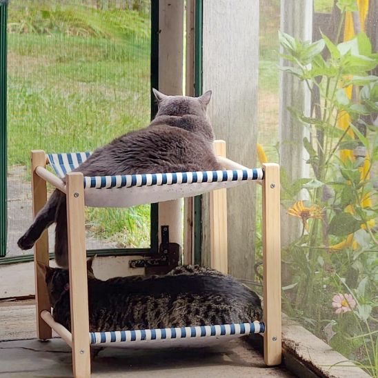hamac pour chat duo bleu
