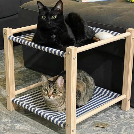 hamac pour chat reposant