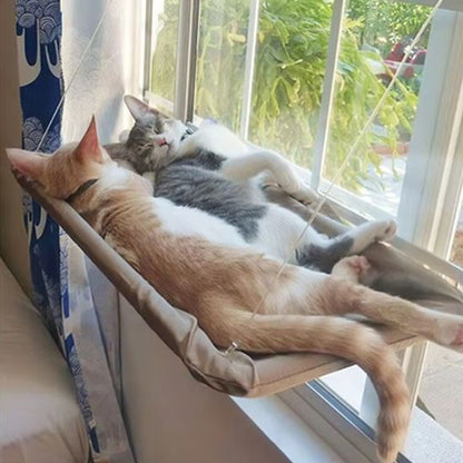 hamac-pour-chat-en-duo