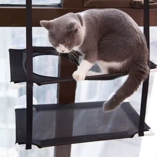 hamac-pour-chat-fenêtre-multi-niveau