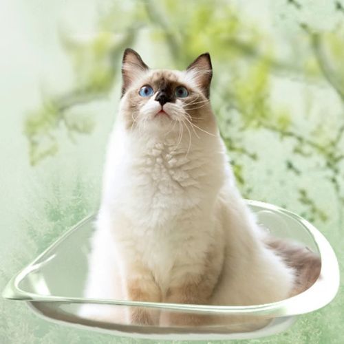 hamac pour chat fenetre transparent - Happy minet