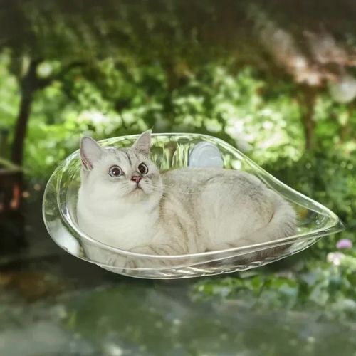 hamac pour chat fenetre transparent - Happy minet
