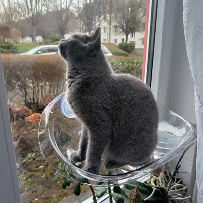 hamac pour chat fenetre transparent - Happy minet