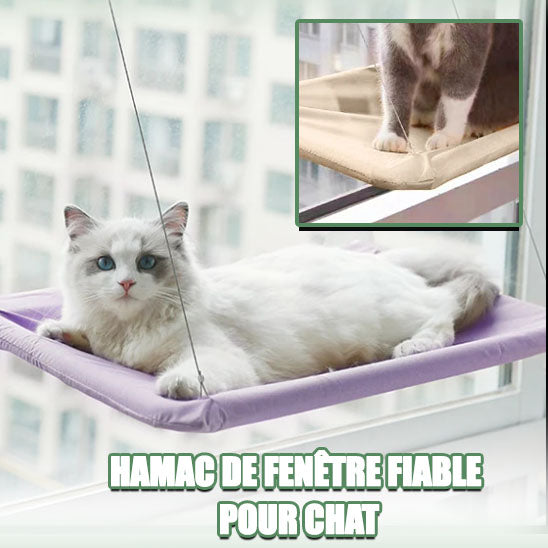 hamac-pour-chat-fiable