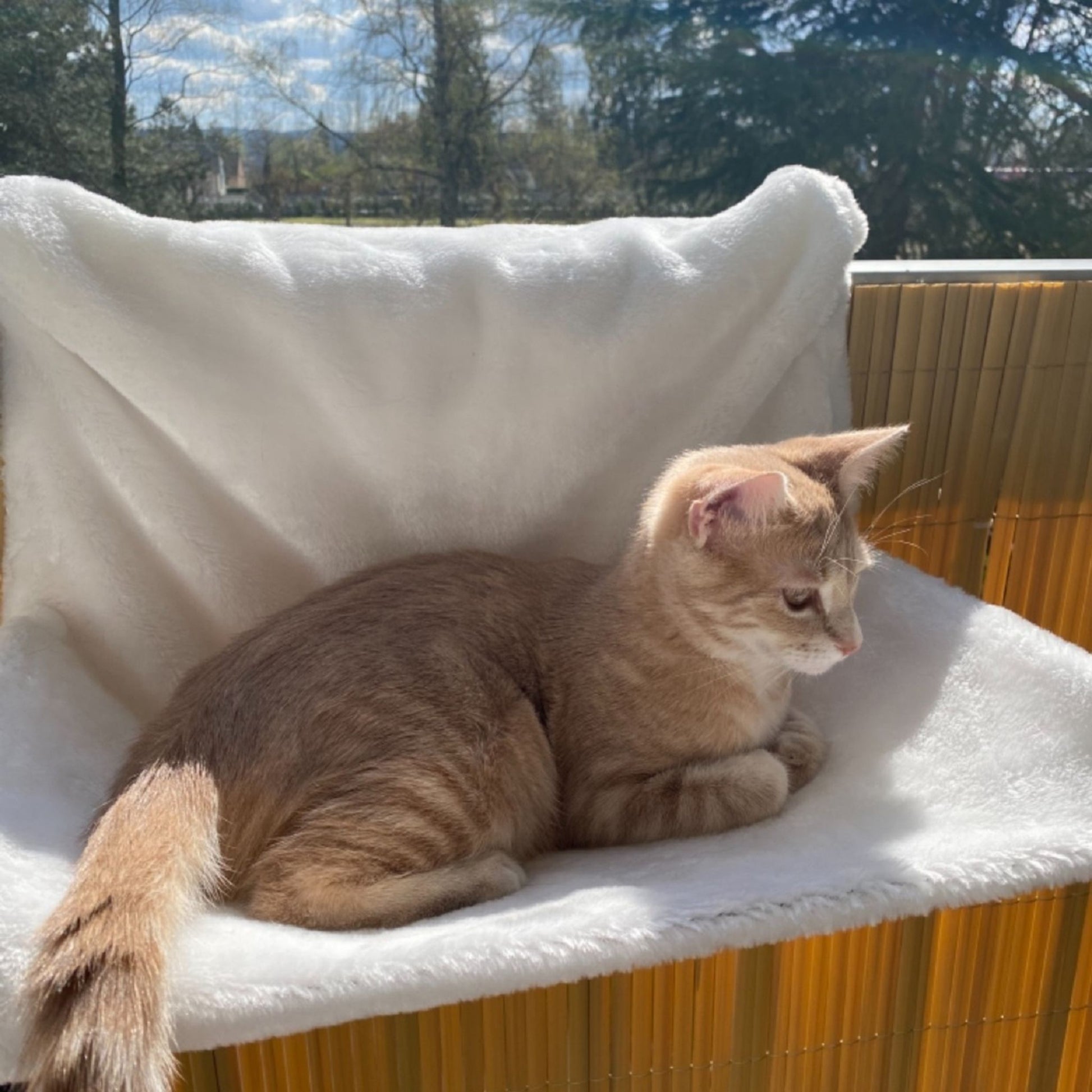 hamac-pour-chat-radiateur-agréable