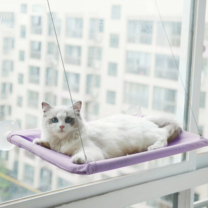 hamac-pour-chat-violet