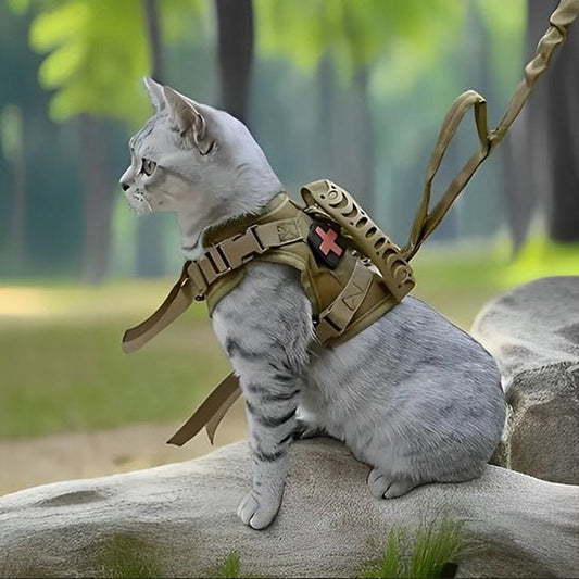 harnais chat anti fugue | CHAVENTURE - Happy minet