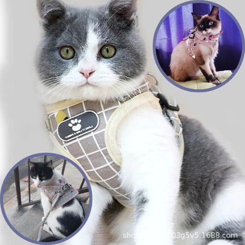 harnais-chat-anti-fugue-durable