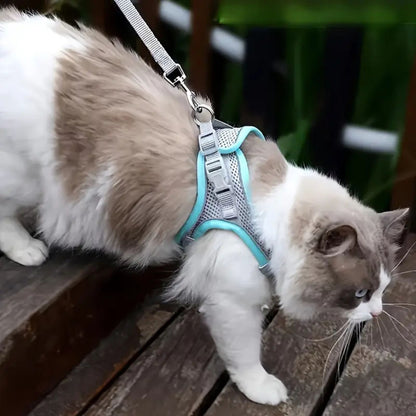 harnais-chat-anti-fugue-explorer-harness