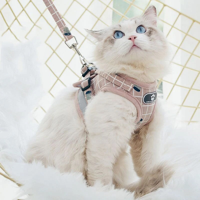 harnais-chat-anti-fugue-fearless