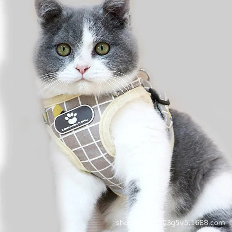 harnais-chat-anti-fugue-gris