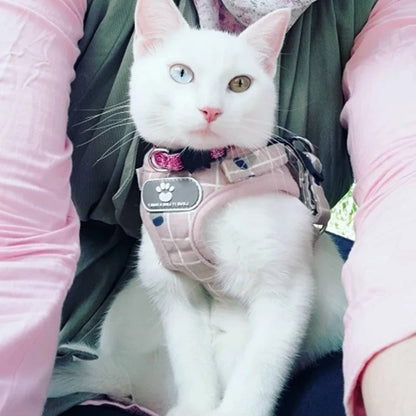 harnais-chat-anti-fugue-rose