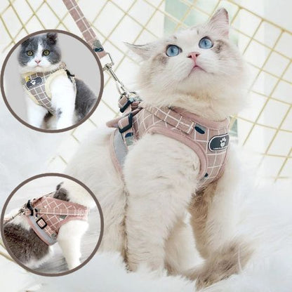 harnais-chat-anti_fugue-solide