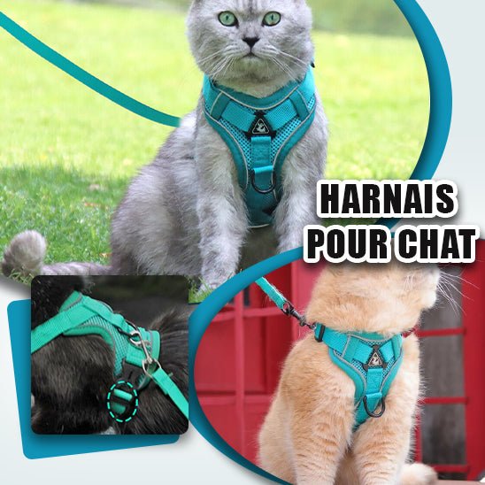 harnais chat-anti-fugue-vert-clair | CATWALKS™ - Happy minet