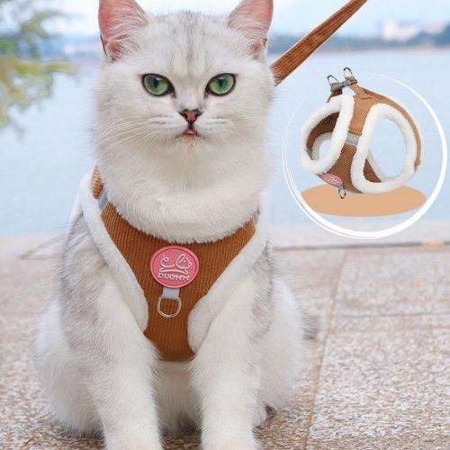 harnais chat chaud - Happy minet