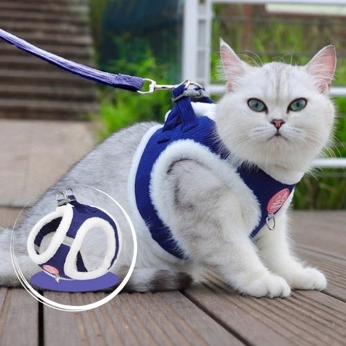 harnais chat chaud - Happy minet