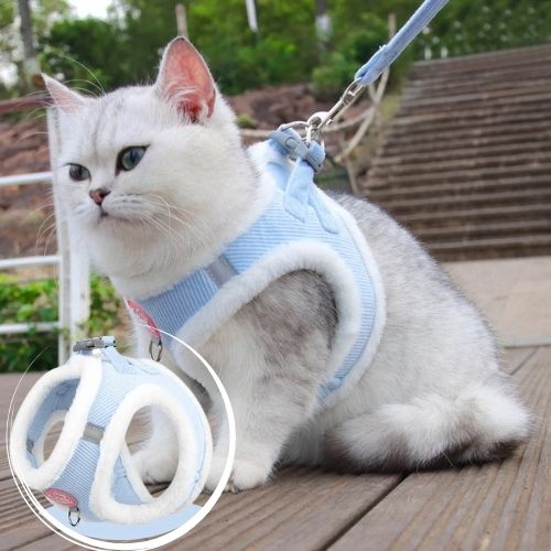 harnais chat chaud - Happy minet