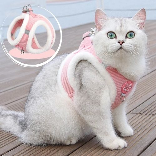 harnais chat chaud - Happy minet
