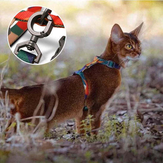 harnais chat multicolore - Happy minet