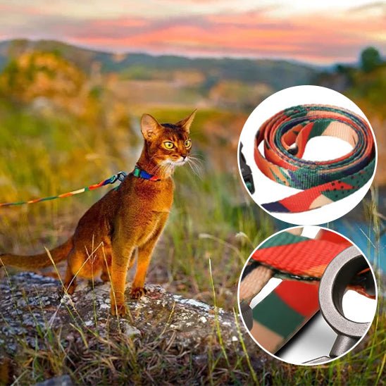 harnais chat multicolore - Happy minet