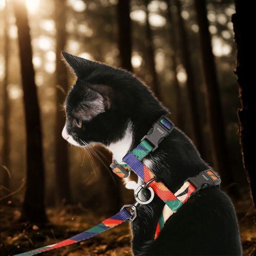 harnais chat multicolore - Happy minet