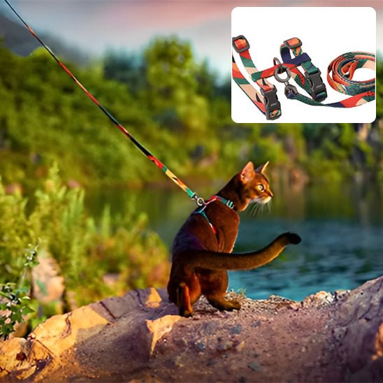 harnais chat multicolore - Happy minet