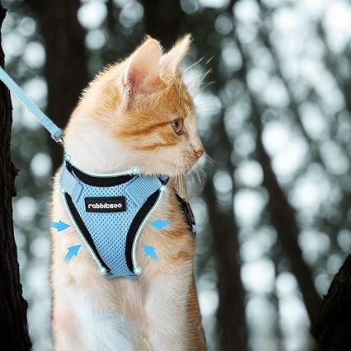 harnais chat | RENFORCÉ - Happy minet