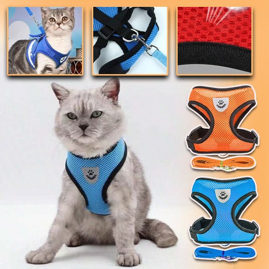 HARNAIS-CHAT | ELASTIC HARNESS- Bleu-orange- Happy minet