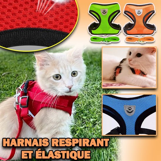 harnais-chat-élastique| ELASTIC HARNESS - Happy minet