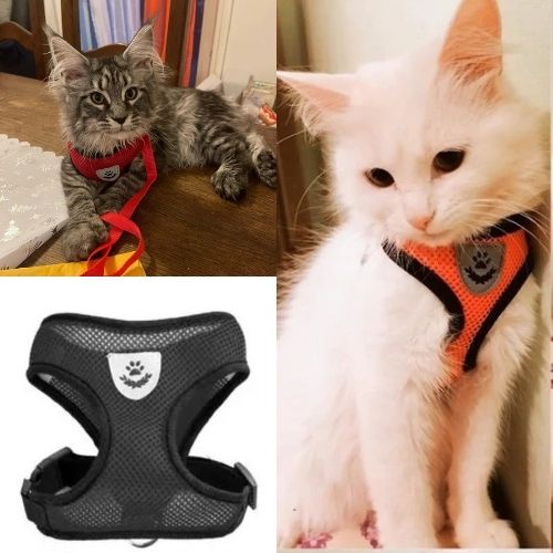 HARNAIS-CHAT | ELASTIC HARNESS-noir - Happy minet