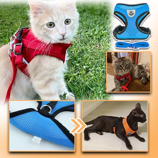 HARNAIS-CHAT | ELASTIC HARNESS-rouge-bleu - Happy minet