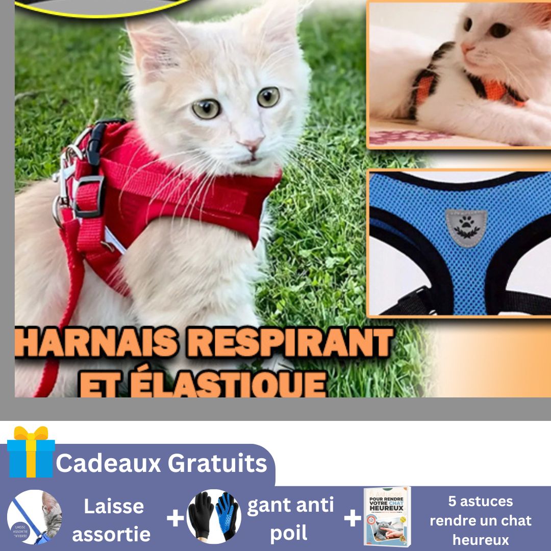 HARNAIS CHAT | ELASTIC HARNESS'™ - Happy minet