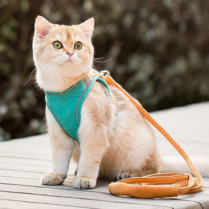 harnais-chat-vert-orange-devant
