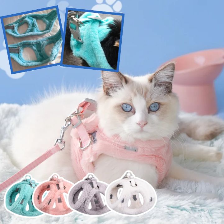 harnais-chat-couleurs | WINTERHARNESS™ - Happy minet