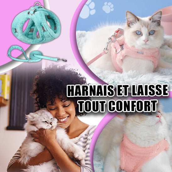 harnais-chat | WINTERHARNESS™ - Happy minet