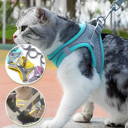harnais-pour-chat-anti-fugue-securise