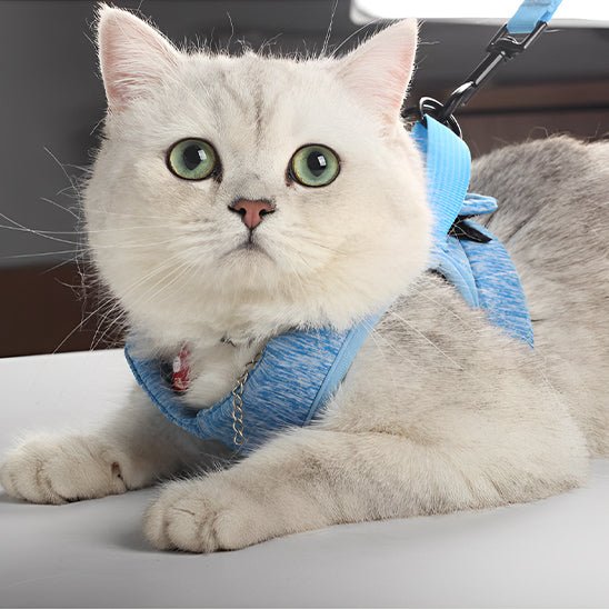 harnais pour chat confortable - Happy minet