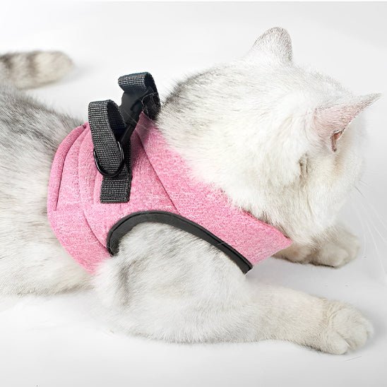 harnais pour chat confortable - Happy minet
