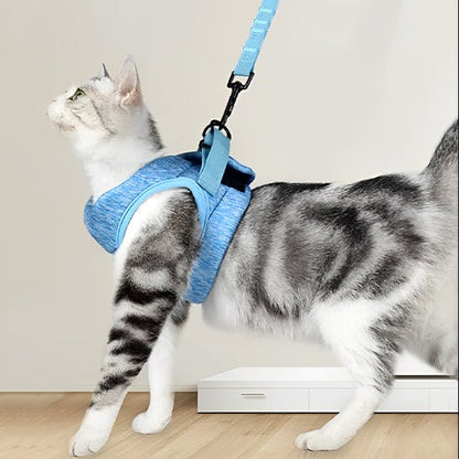 harnais pour chat confortable - Happy minet