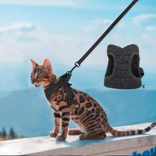 harnais pour chat confortable - Happy minet