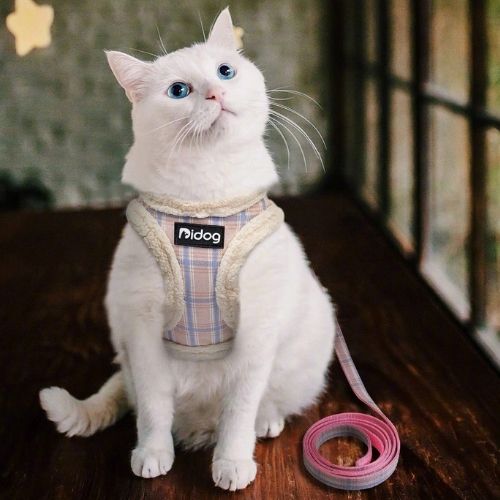 harnais-pour-chat-doux
