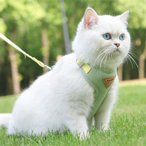 harnais pour chat | LIBERTÉ SÉCURISÉE - Happy minet